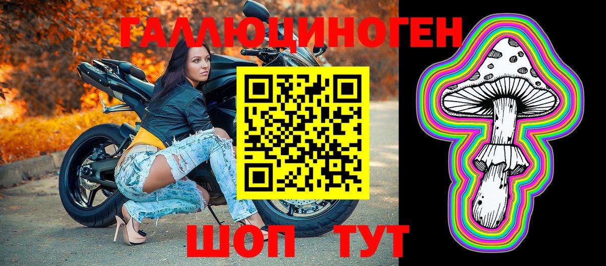 Волжск  Галлюциногенные грибы Psilocybine cubensis  Вход с VPN 