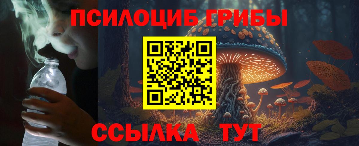 Псилоцибиновые грибы Magic Shrooms Волжск